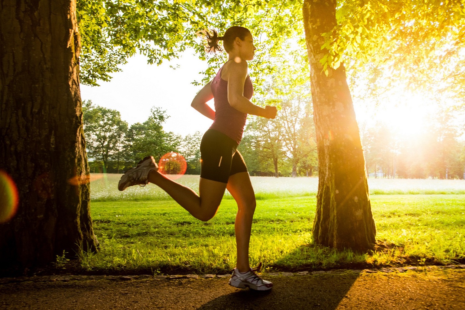 Afbeelding van programma met gedoseerde intensiteit